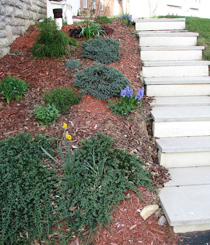 Old Stairs to the Driveway