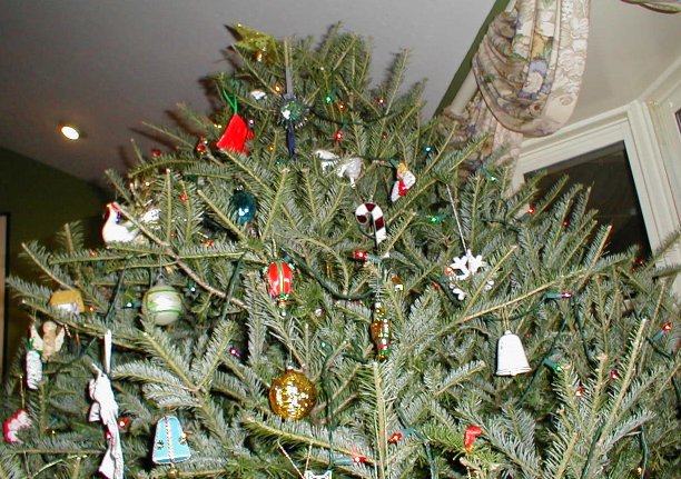 Ann and Tim's Priscillacon Tree