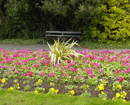 A St. Stephens Green Garden